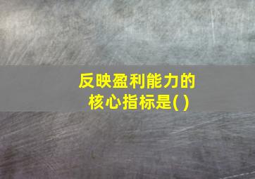 反映盈利能力的核心指标是( )